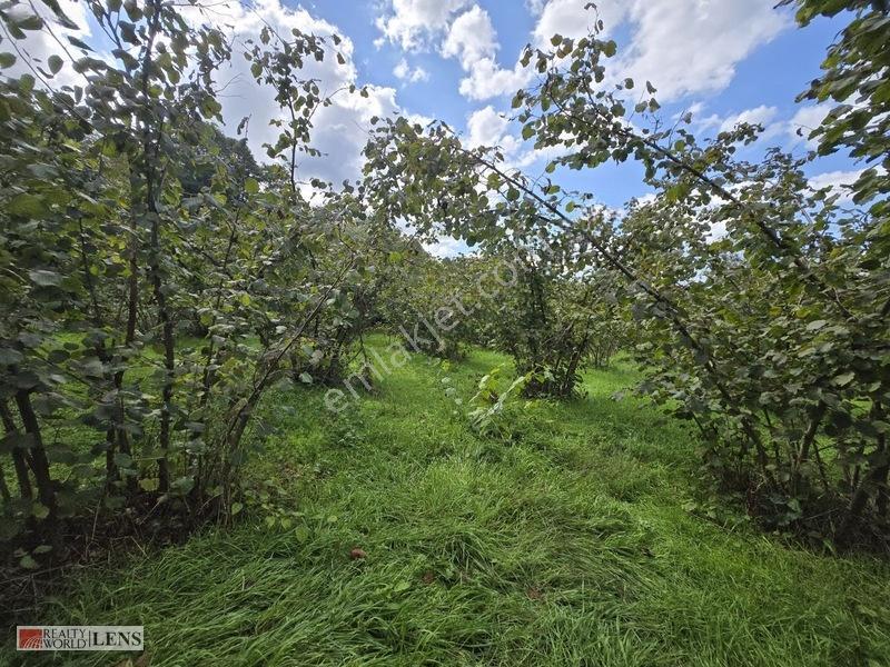 Arifiye Kemaliyede %40 İmarlı, Asfalt Yola Cepheli 880 M² Fırsa — fotoğraf 4