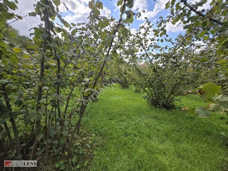 Arifiye Kemaliyede %40 İmarlı, Asfalt Yola Cepheli 880 M² Fırsa — fotoğraf 5