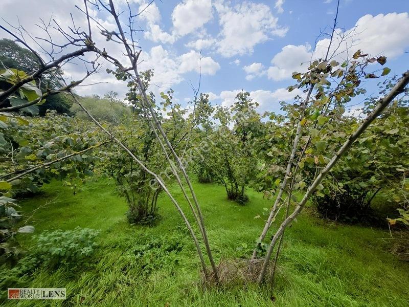 Arifiye Kemaliyede %40 İmarlı, Asfalt Yola Cepheli 880 M² Fırsa — fotoğraf 7