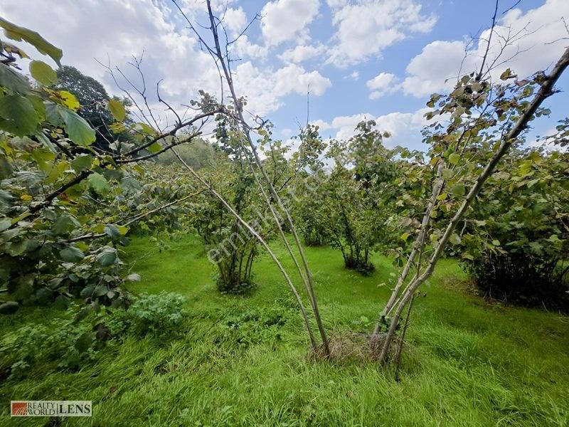 Arifiye Kemaliyede %40 İmarlı, Asfalt Yola Cepheli 880 M² Fırsa — fotoğraf 8