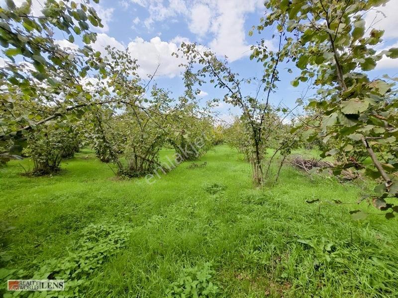 Arifiye Kemaliyede %40 İmarlı, Asfalt Yola Cepheli 880 M² Fırsa — fotoğraf 9