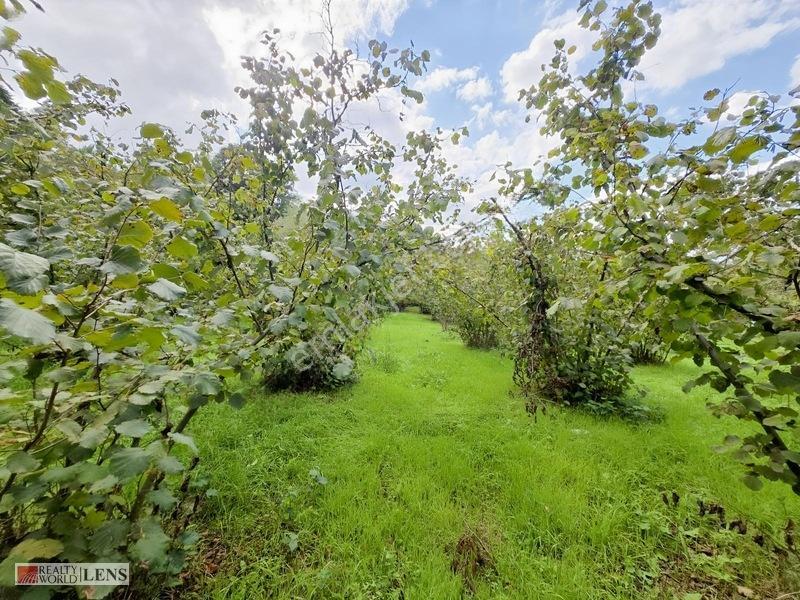 Arifiye Kemaliyede %40 İmarlı, Asfalt Yola Cepheli 880 M² Fırsa — fotoğraf 10