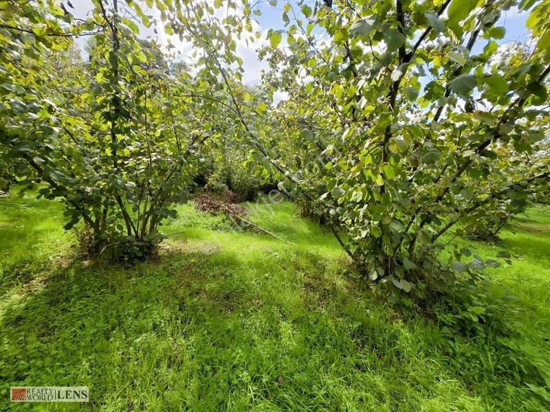 Arifiye Kemaliyede %40 İmarlı, Asfalt Yola Cepheli 880 M² Fırsa — fotoğraf 11