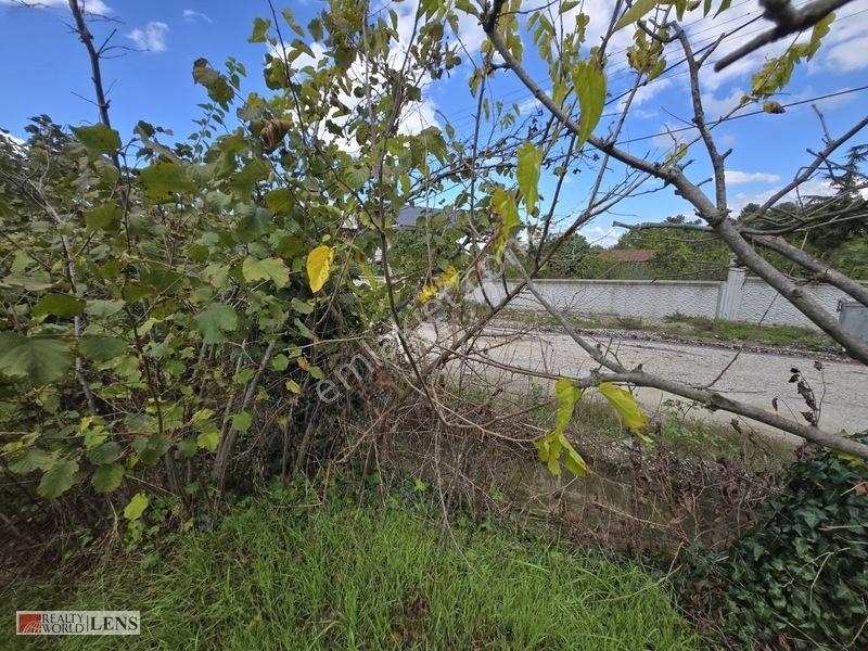 Arifiye Kemaliyede %40 İmarlı, Asfalt Yola Cepheli 880 M² Fırsa — fotoğraf 14