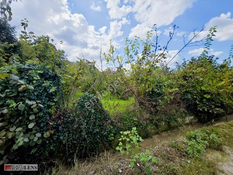 Arifiye Kemaliyede %40 İmarlı, Asfalt Yola Cepheli 880 M² Fırsa — fotoğraf 16