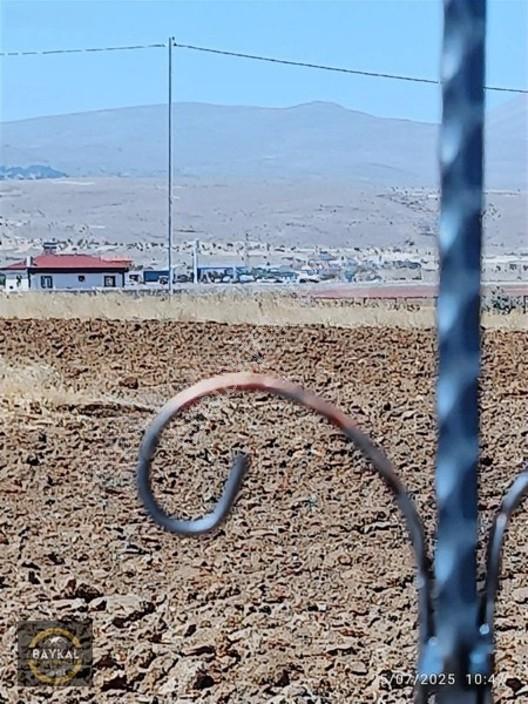 Talas Mengücek'te Malatya Yoluna Yakın Bahçeler — fotoğraf 6