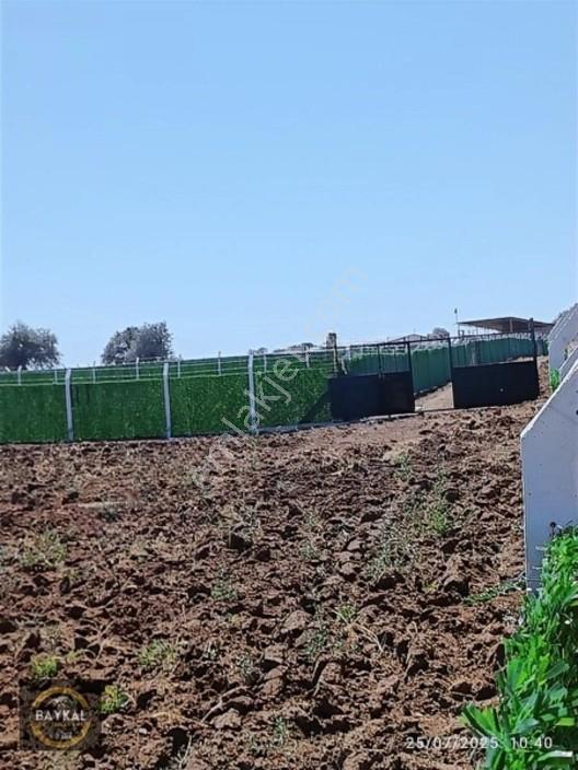 Talas Mengücek'te Malatya Yoluna Yakın Bahçeler — fotoğraf 10