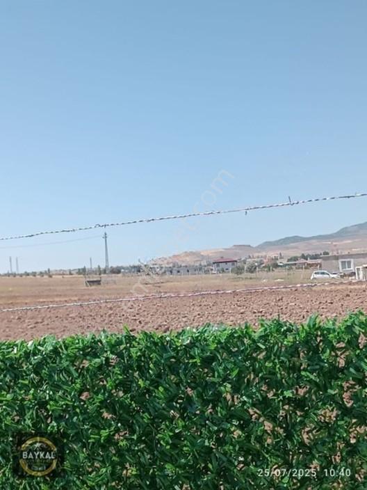 Talas Mengücek'te Malatya Yoluna Yakın Bahçeler — fotoğraf 12