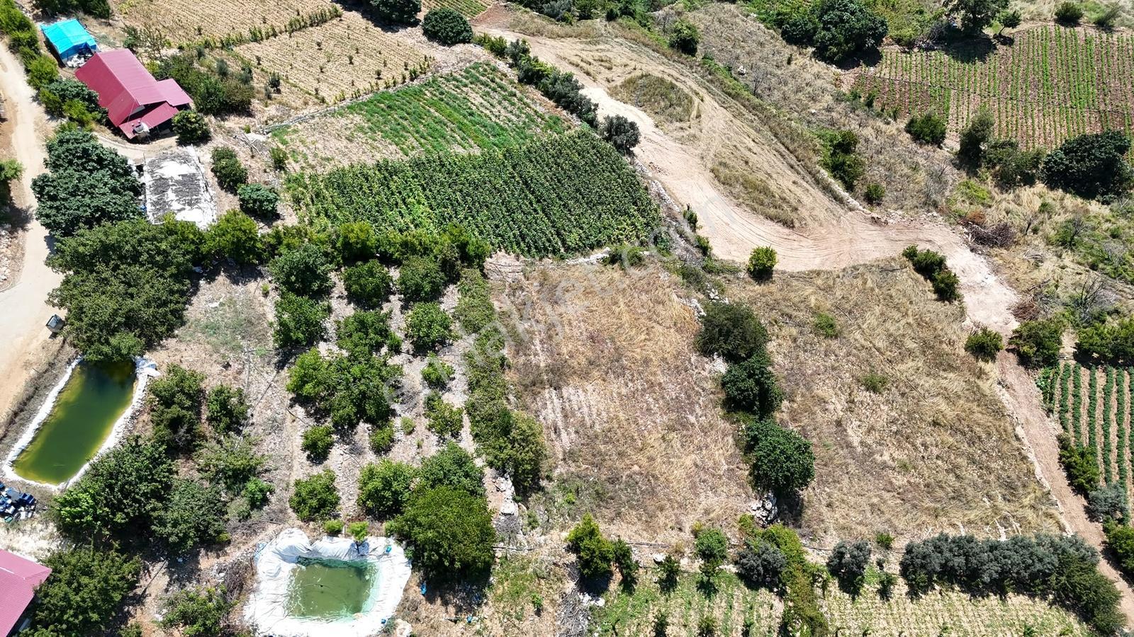 [Ata]'Dan Çamlı Mahallesin'De Doğa Manzaralı 4205M2 Bahçe