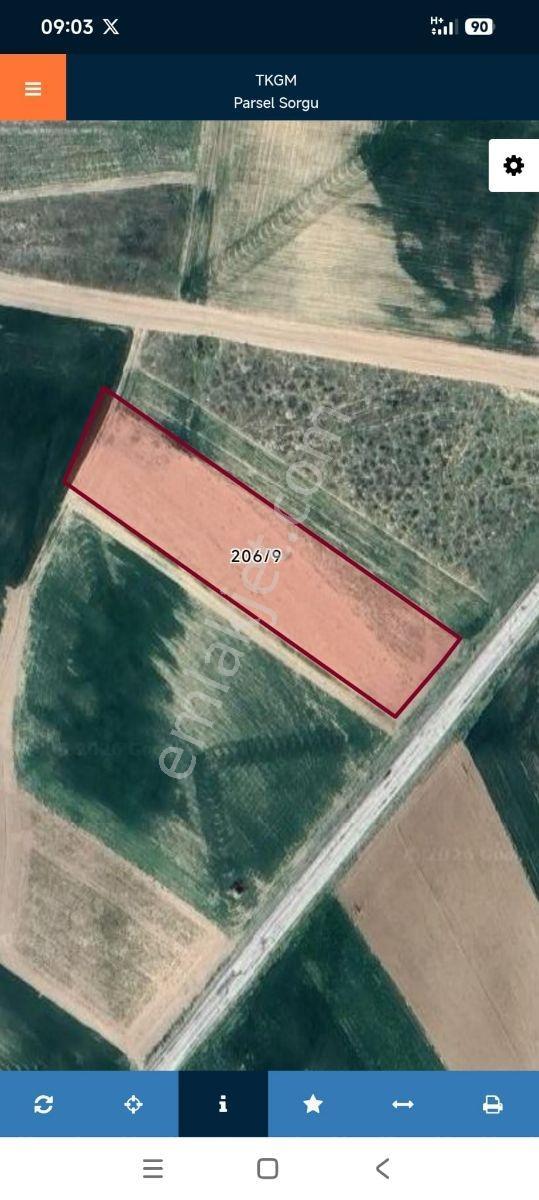 Bozkurt Cumali De Asfalt Kenarı 5350m2 Fırsat Yatırımlık Tarla — fotoğraf 2