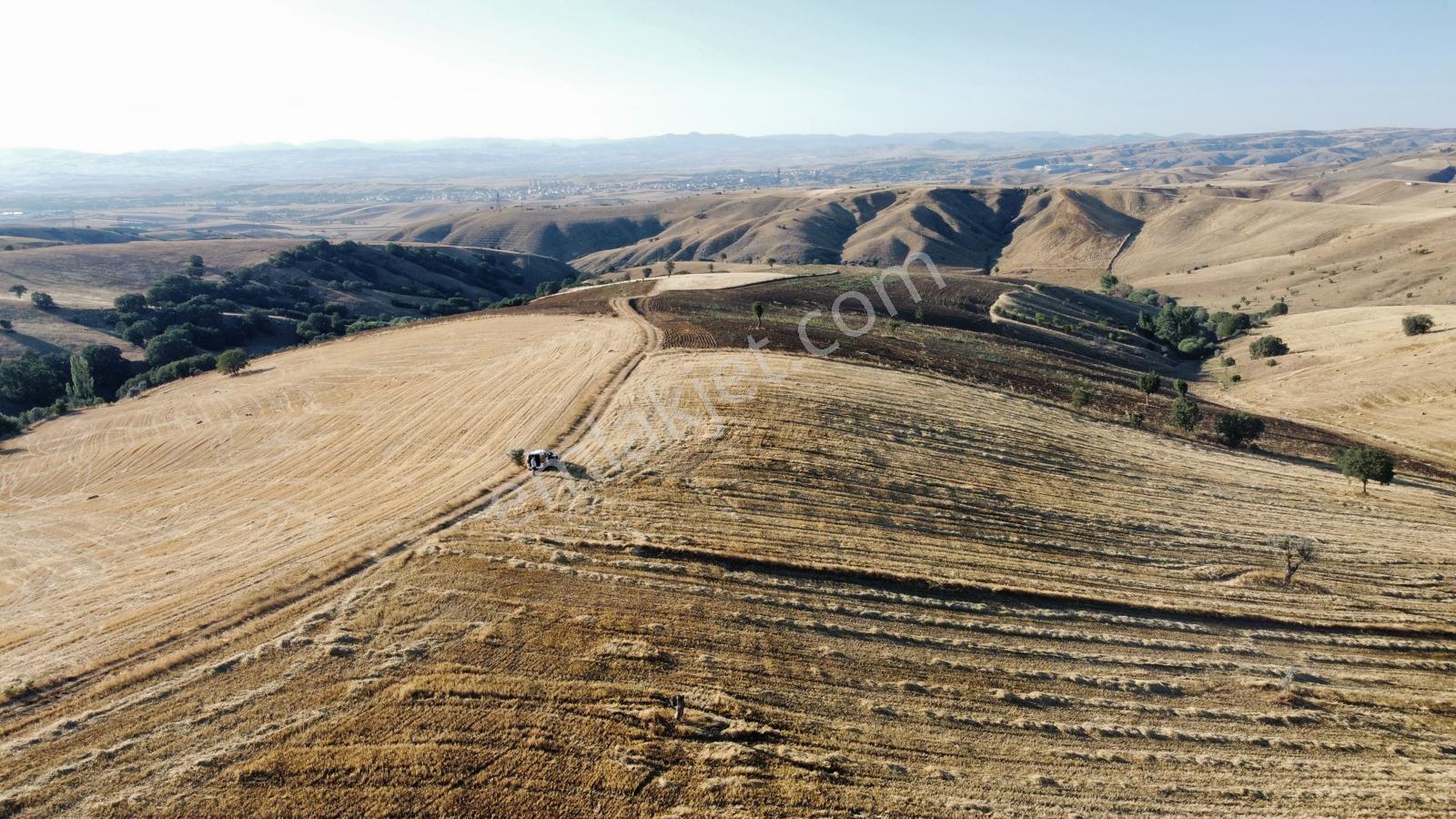 *çardakbagın Da 60 Dönüm (kök) Tek Tapu*- — fotoğraf 11