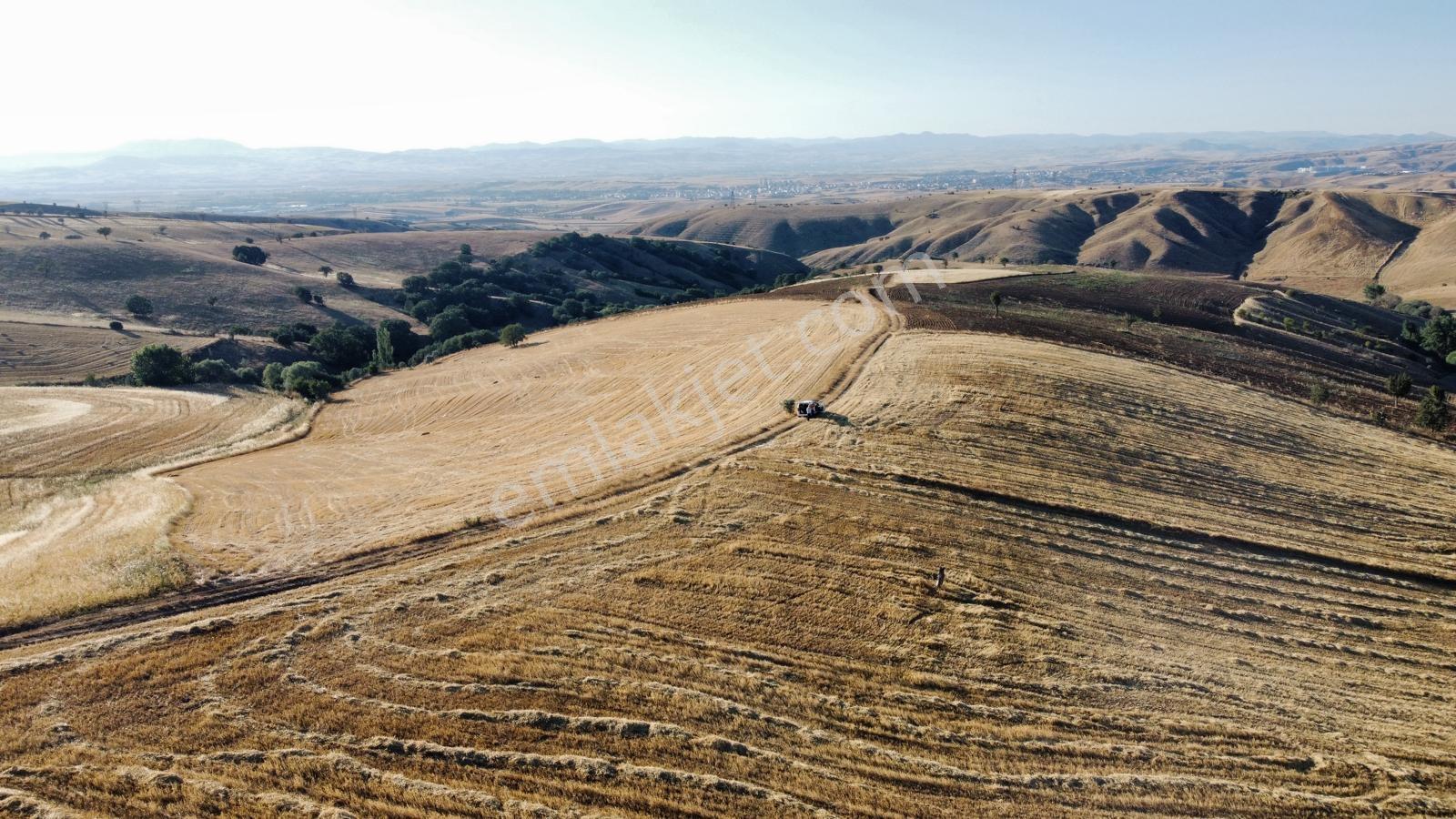 *çardakbagın Da 60 Dönüm (kök) Tek Tapu*- — fotoğraf 12