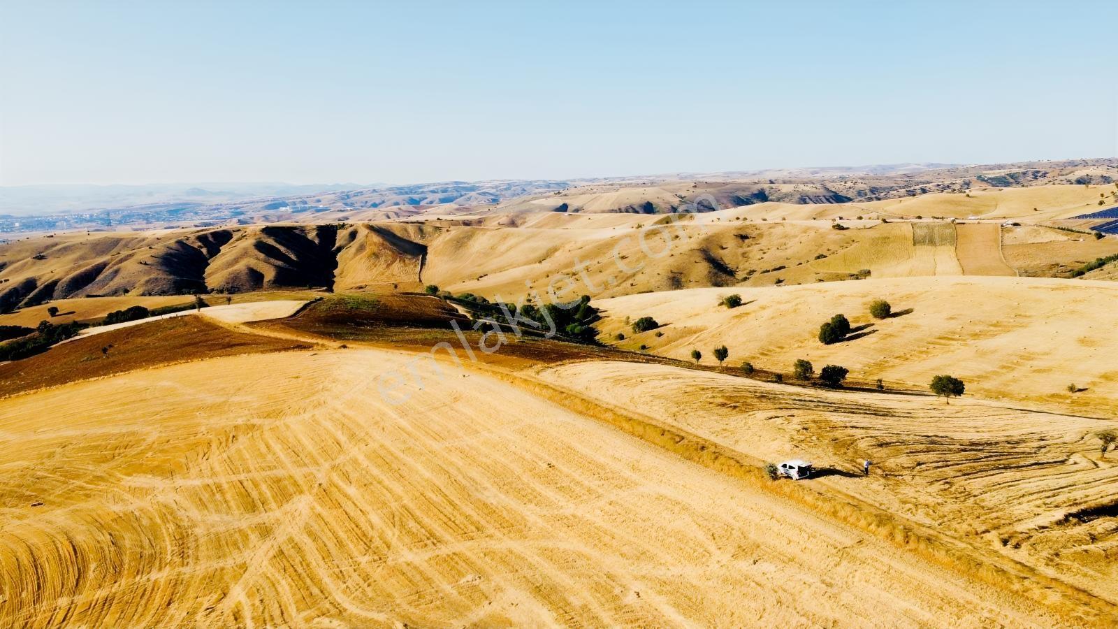 *çardakbagın Da 60 Dönüm (kök) Tek Tapu*- — fotoğraf 14
