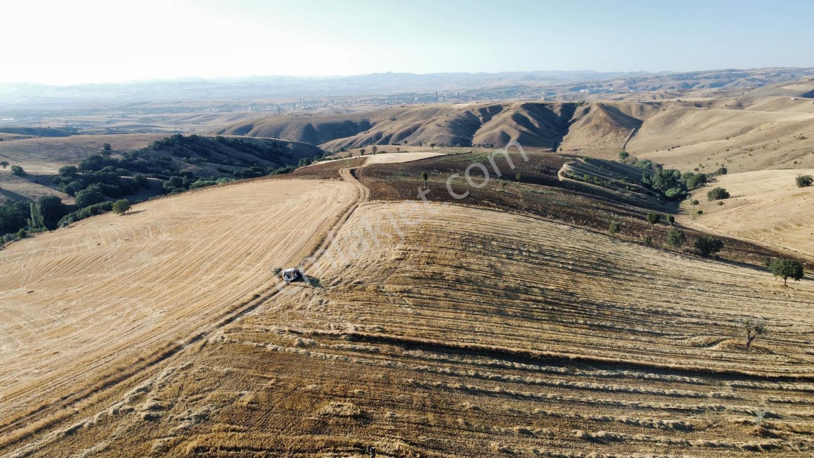 *çardakbagın Da 60 Dönüm (kök) Tek Tapu*- — fotoğraf 22