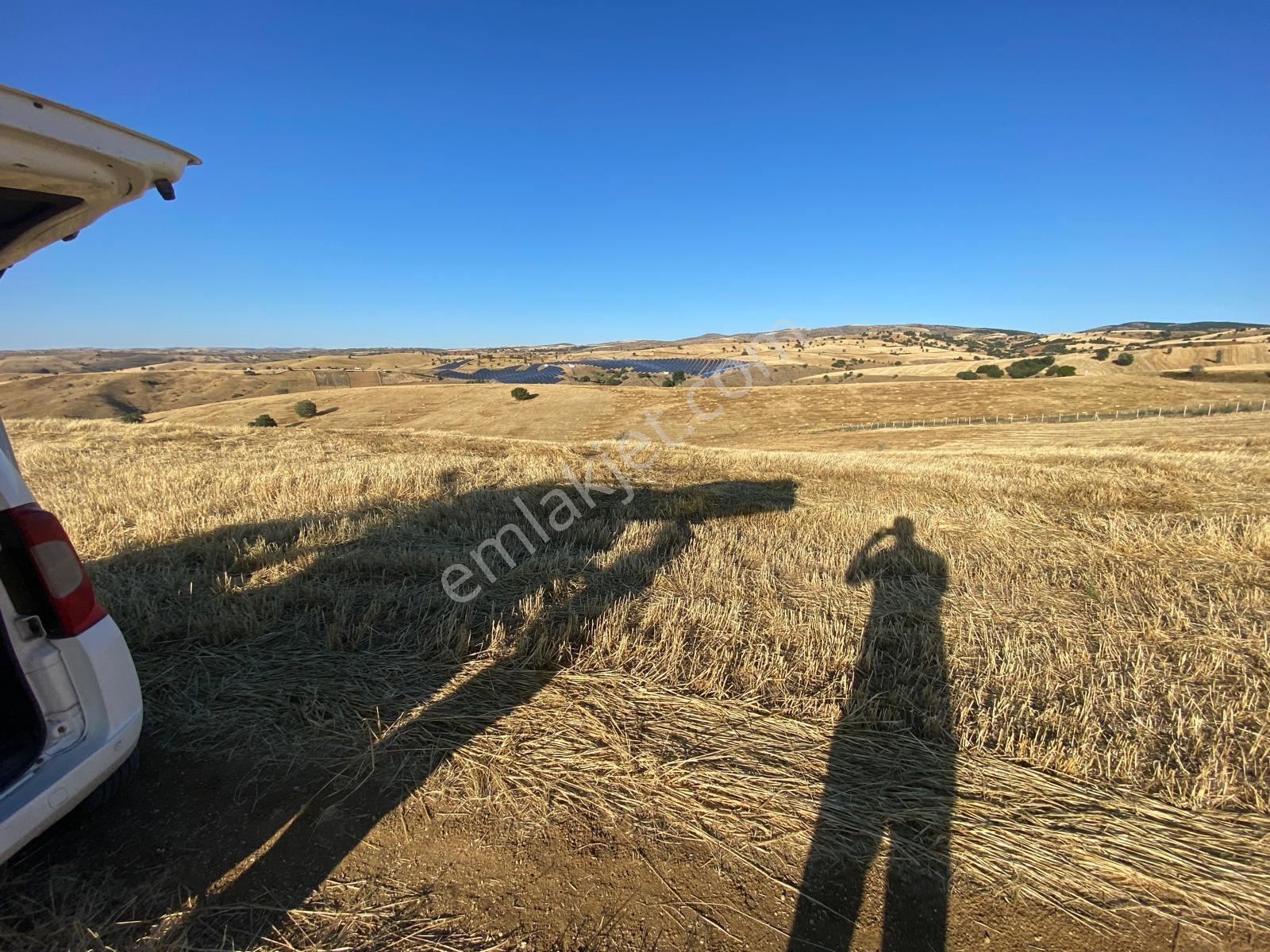 *çardakbagın Da 60 Dönüm (kök) Tek Tapu*- — fotoğraf 23