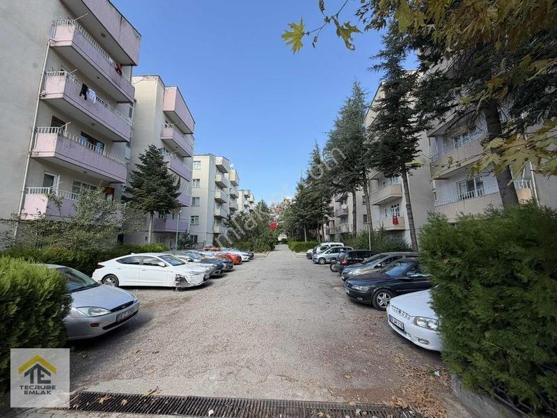 Divrik Caddesi Kentsel Dönüşüm Sözleşmesi İmzalandı Lüks 7.kat — fotoğraf 6