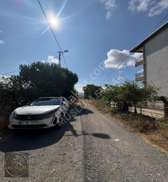 Büyükçekmece Türkoba'da Satılık 5+1 Villa, 150m², Geniş Bahçeli — fotoğraf 10