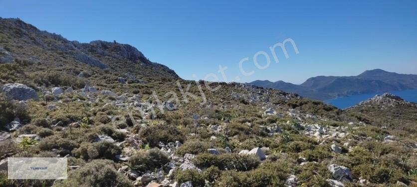Panoramik Deniz Manzaralı Satılık Arsa — fotoğraf 10