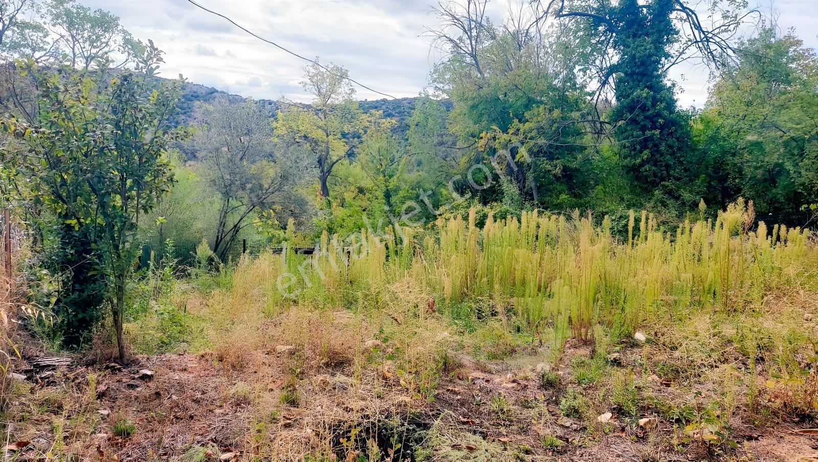 Isparta Sütçüler İlçede Satılık Tek Tapu 290 M2 — fotoğraf 3