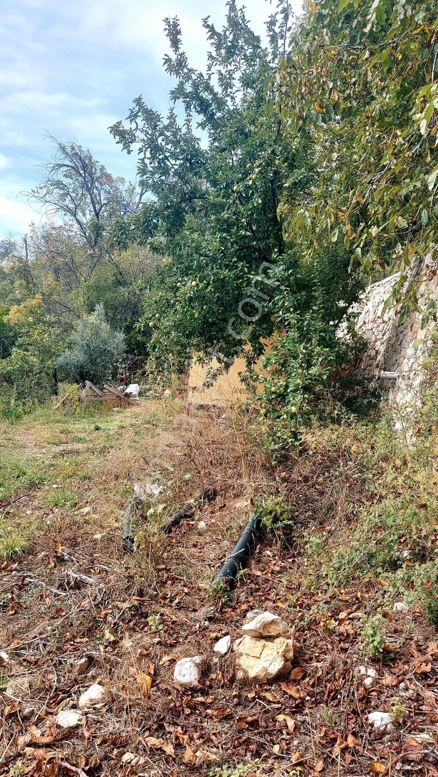 Isparta Sütçüler İlçede Satılık Tek Tapu 290 M2 — fotoğraf 6