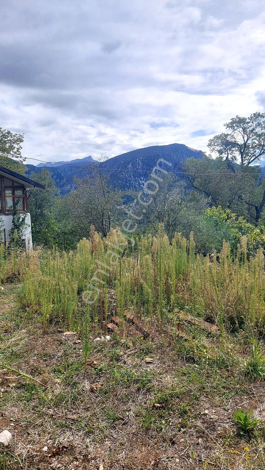 Isparta Sütçüler İlçede Satılık Tek Tapu 290 M2 — fotoğraf 9