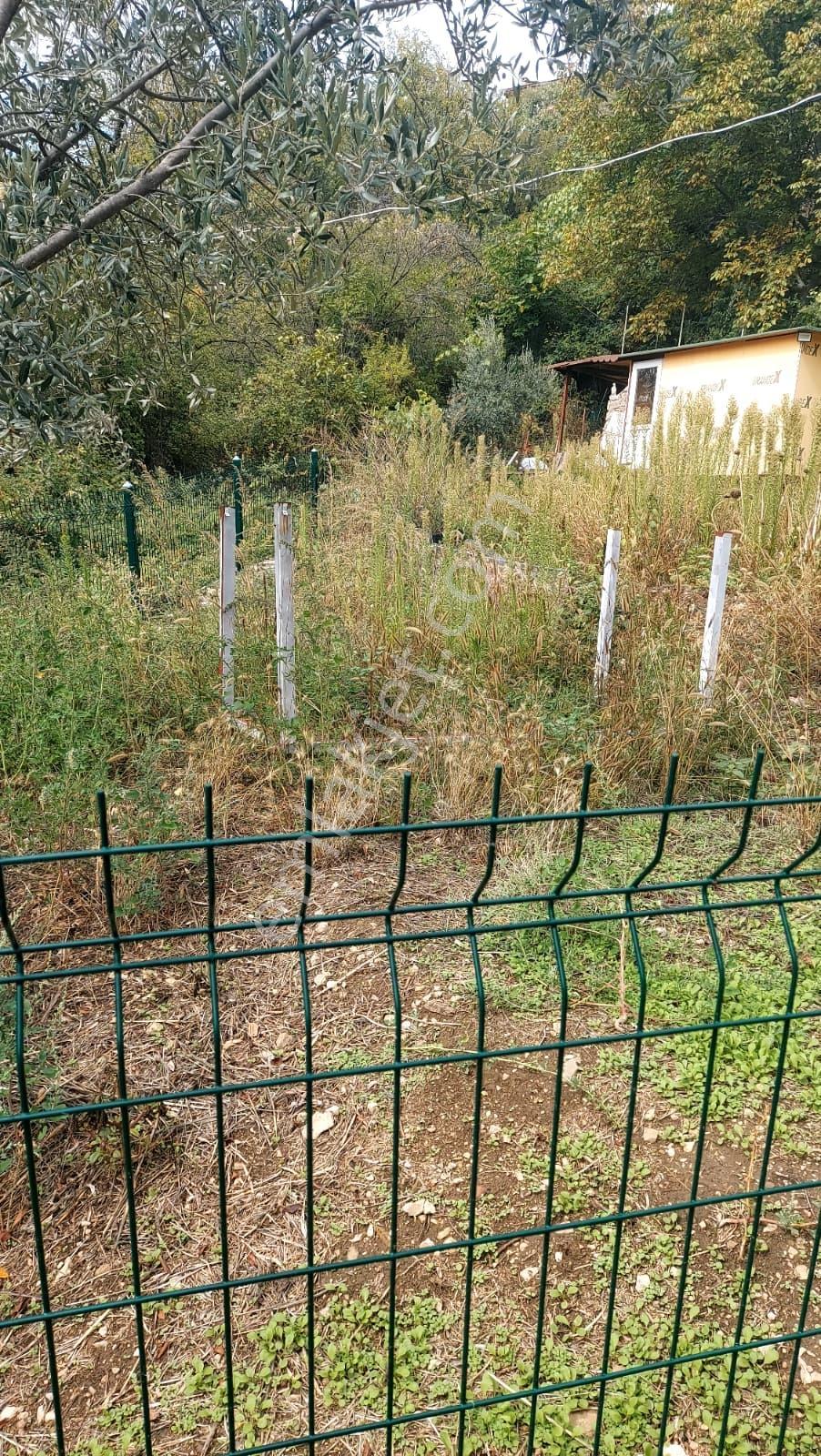 Isparta Sütçüler İlçede Satılık Tek Tapu 290 M2 — fotoğraf 10