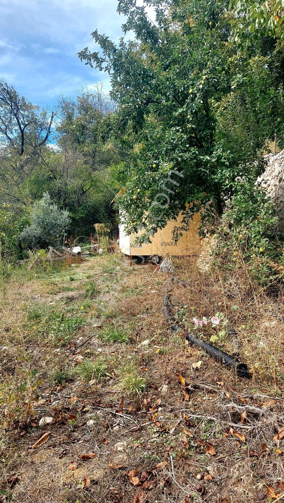 Isparta Sütçüler İlçede Satılık Tek Tapu 290 M2 — fotoğraf 12