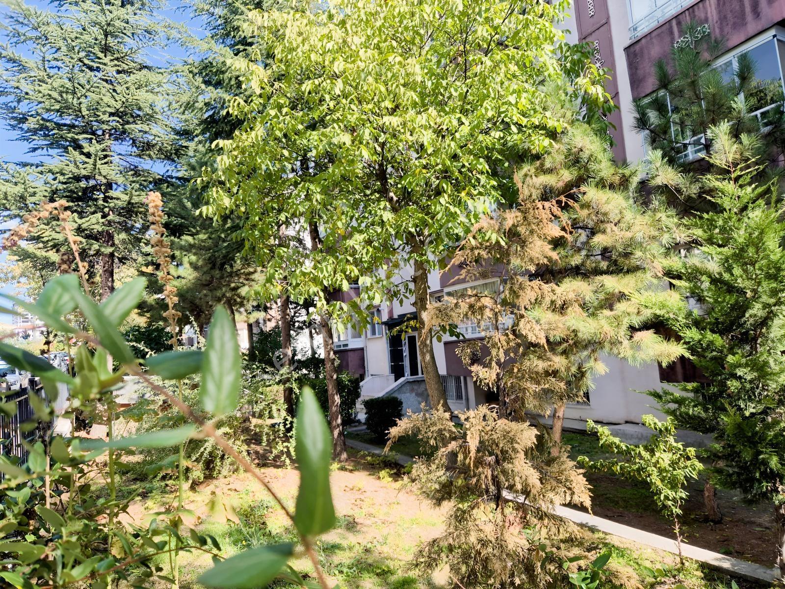 Serhat Mahallesi'nde Krediye Uygun, Ara Kat Konumda Satılık 3+1 — fotoğraf 27