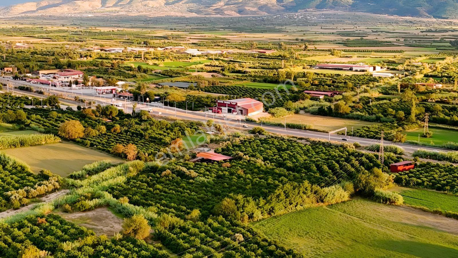 Kuyucak Beşeylülde Merkeze Yakın, Yolu Olan Hobi Bahçesi — fotoğraf 2
