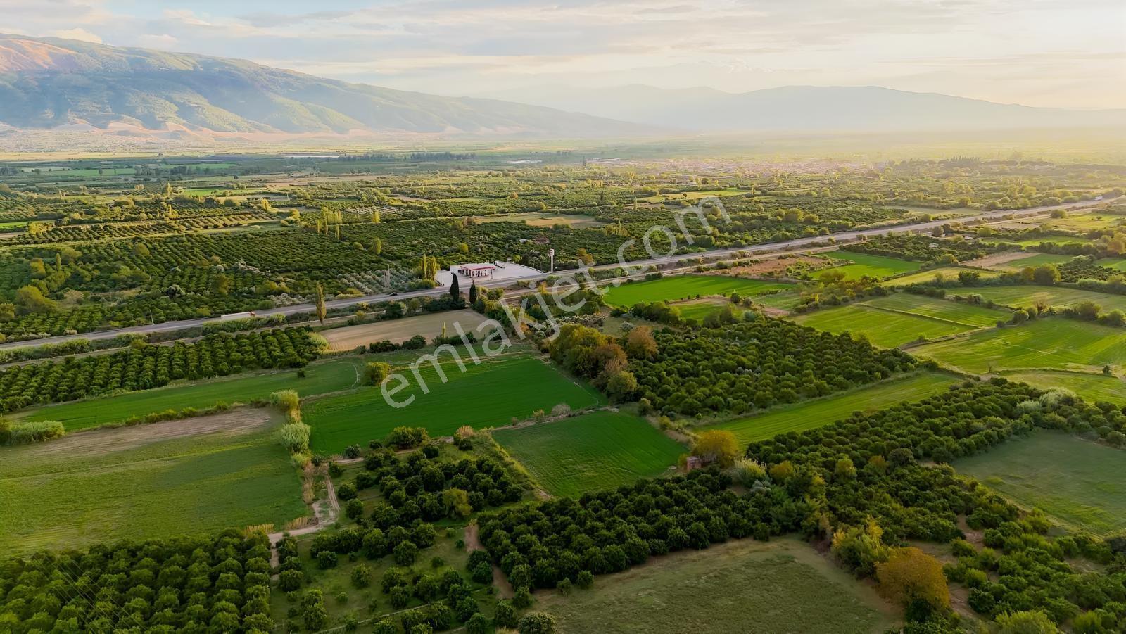 Kuyucak Beşeylülde Merkeze Yakın, Yolu Olan Hobi Bahçesi — fotoğraf 4