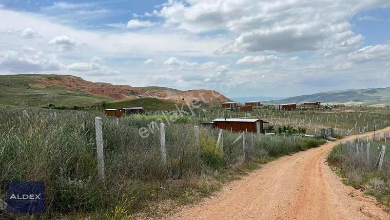 Ayaş Başayaş'da 300 M2 Hazır Satılık Hobi Bahçesi — fotoğraf 2