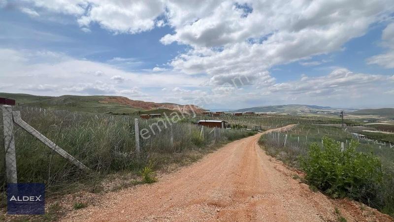 Ayaş Başayaş'da 300 M2 Hazır Satılık Hobi Bahçesi — fotoğraf 3