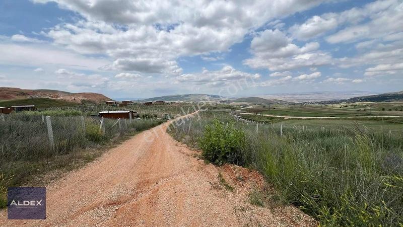 Ayaş Başayaş'da 300 M2 Hazır Satılık Hobi Bahçesi — fotoğraf 4