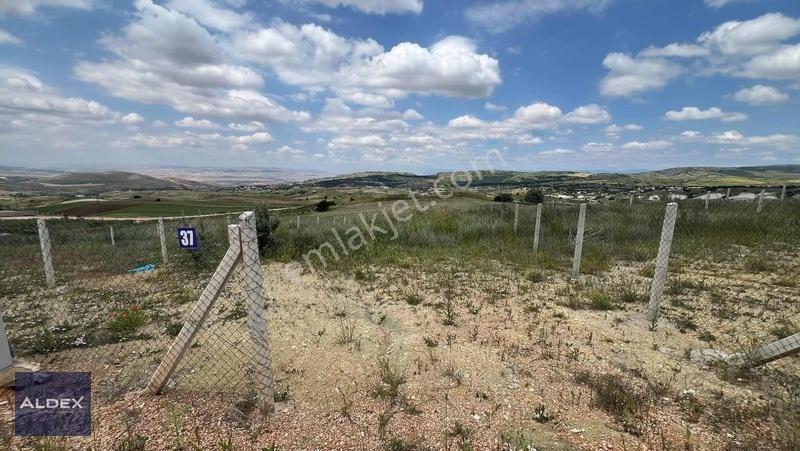 Ayaş Başayaş'da 300 M2 Hazır Satılık Hobi Bahçesi — fotoğraf 6