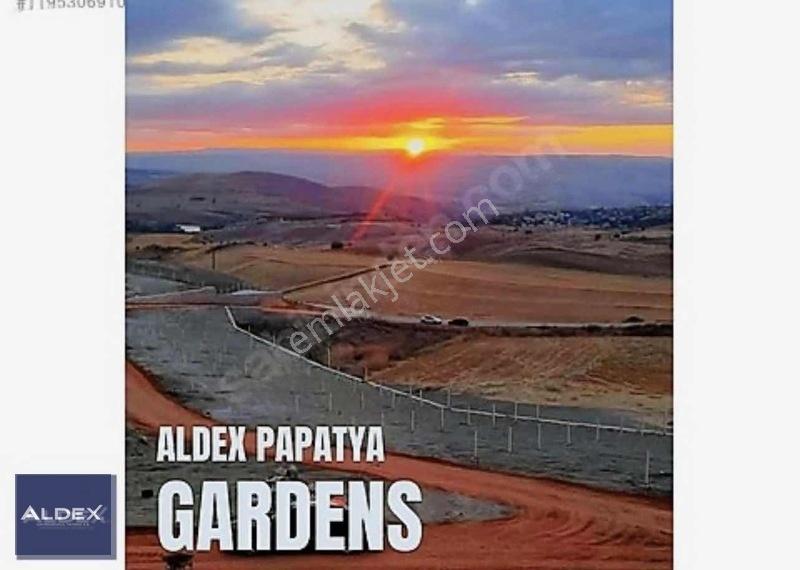 Ayaş Başayaş'da 300 M2 Hazır Satılık Hobi Bahçesi — fotoğraf 9