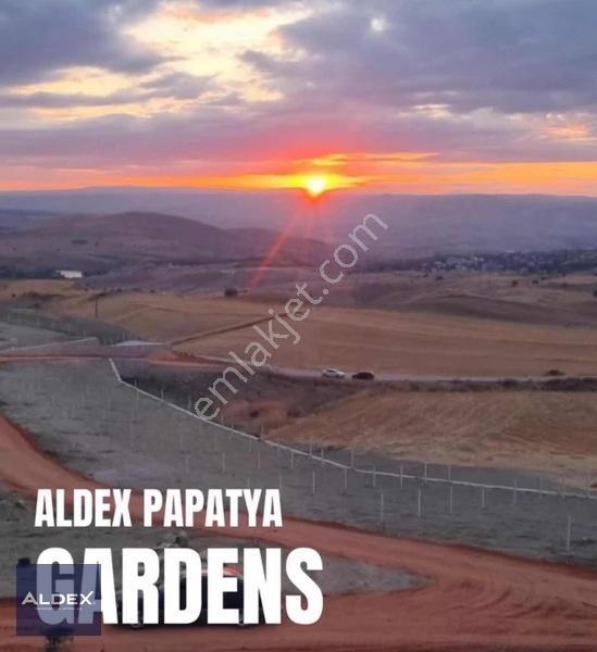 Ayaş Başayaş'da 300 M2 Hazır Satılık Hobi Bahçesi — fotoğraf 10