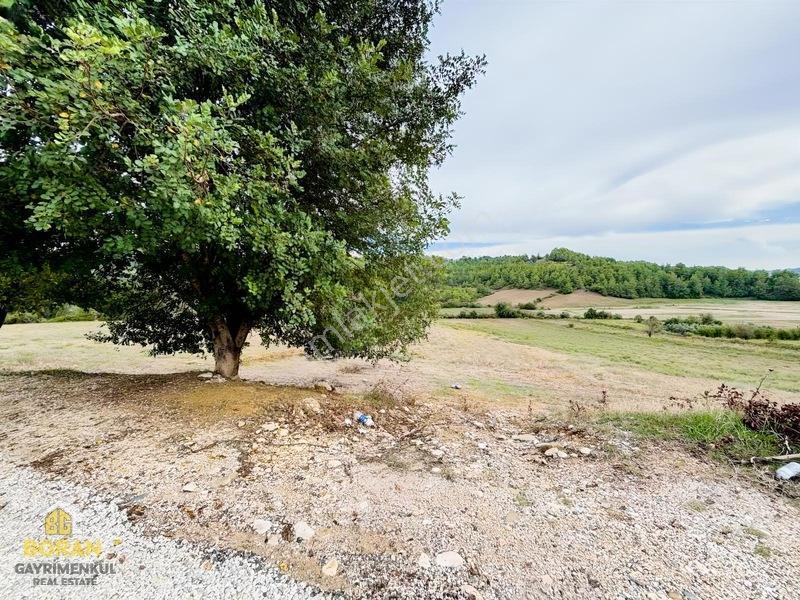 Boran Gayrimenkulden Tek Tapu Göl Manzaralı 22 Dönüm Arazi — fotoğraf 5
