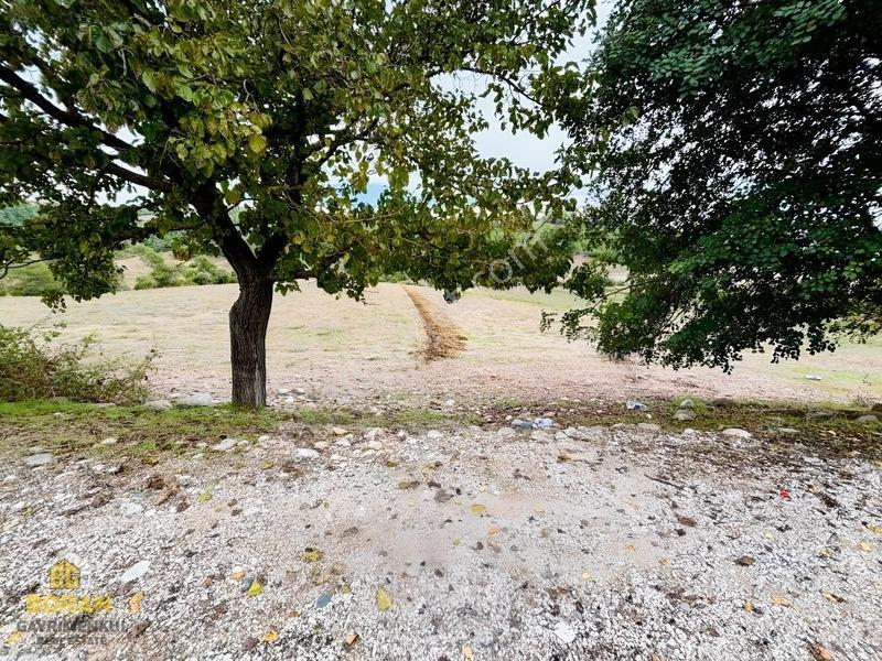 Boran Gayrimenkulden Tek Tapu Göl Manzaralı 22 Dönüm Arazi — fotoğraf 20