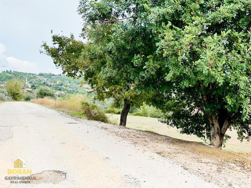 Boran Gayrimenkulden Tek Tapu Göl Manzaralı 22 Dönüm Arazi — fotoğraf 22
