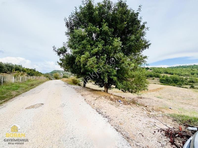 Boran Gayrimenkulden Tek Tapu Göl Manzaralı 22 Dönüm Arazi — fotoğraf 23