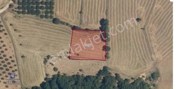 Satılık Mustakıl Tapulu 2450,35 M2 Tarla