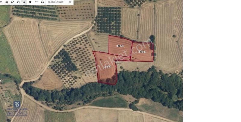 Satılık Mustakıl Tapulu 2450,35 M2 Tarla — fotoğraf 3