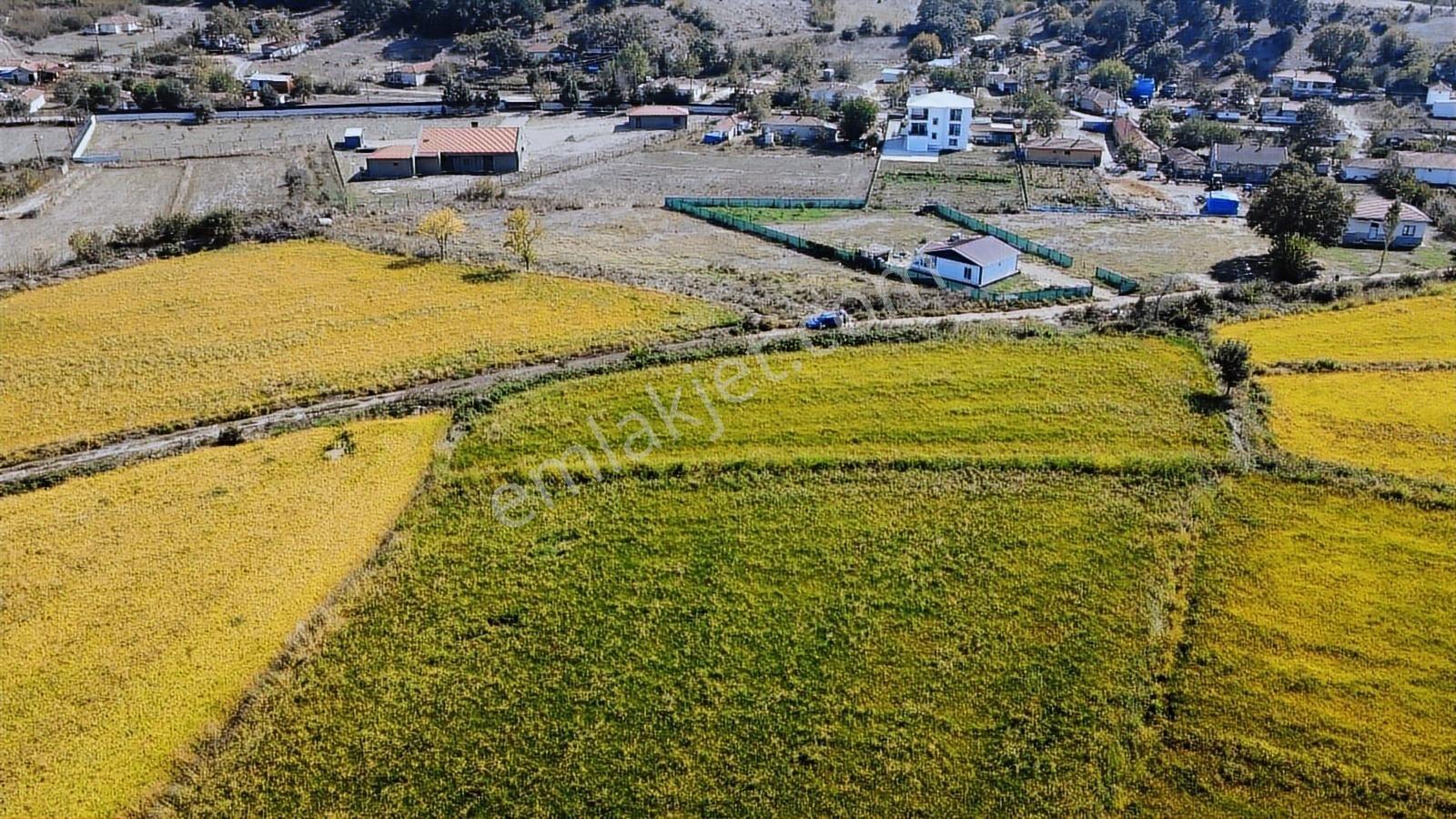 Turyap'Tan Edirne Uzunköprü Başagıl Köyün De 1.585.66M2 Arsa