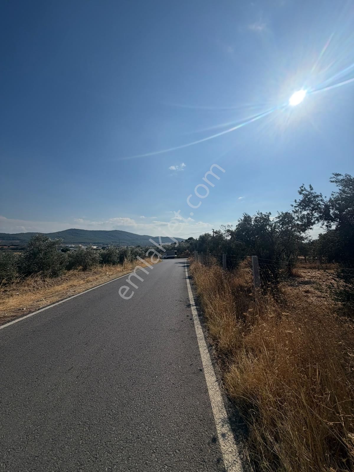 İzmir Torbalı 4.290 M² Satılık Fırsat Zeytinlik — fotoğraf 11