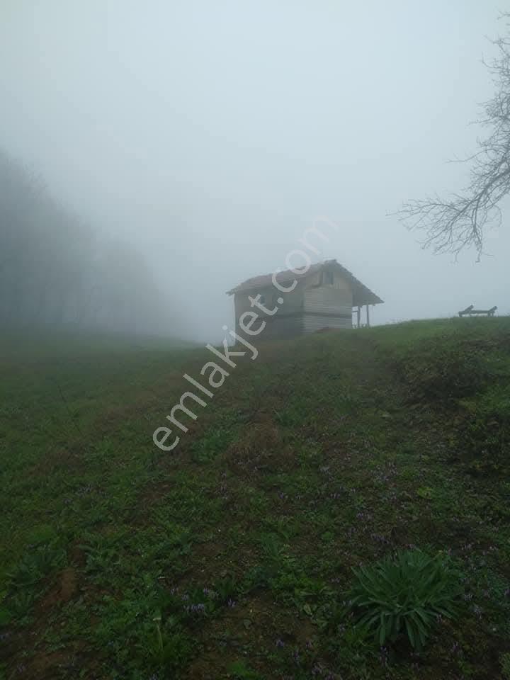 Gök Oryap 'tan Satılık Süper Konumda Yatırımlık Fırsat Arsa!!!!! — fotoğraf 6