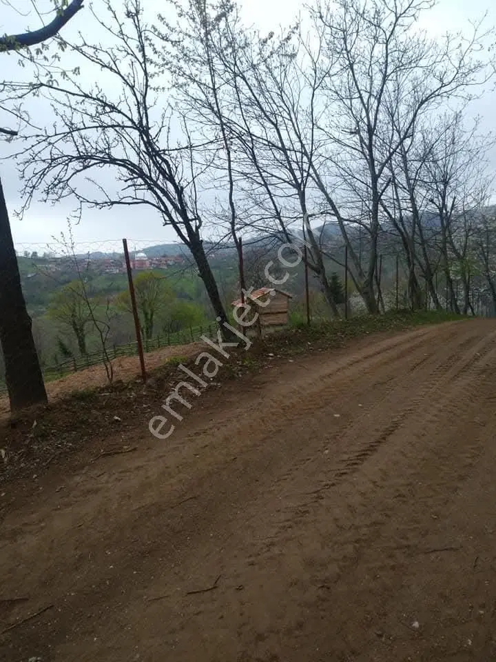 Gök Oryap 'tan Satılık Süper Konumda Yatırımlık Fırsat Arsa!!!!! — fotoğraf 7