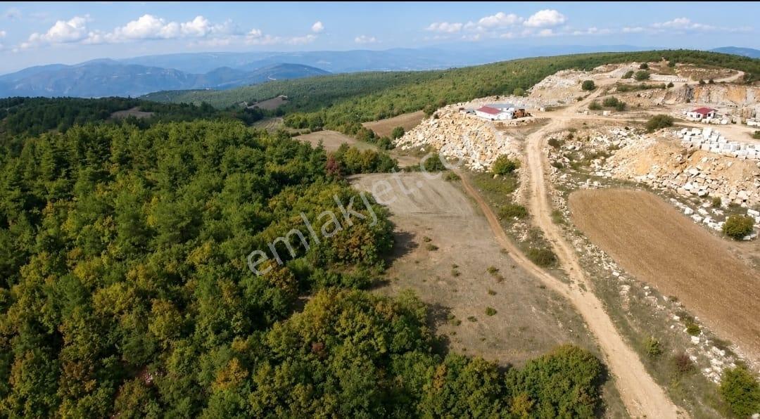 Bilecik Gölpazarı 1.355 M² Tek Tapu Yatırımlık Arazi
