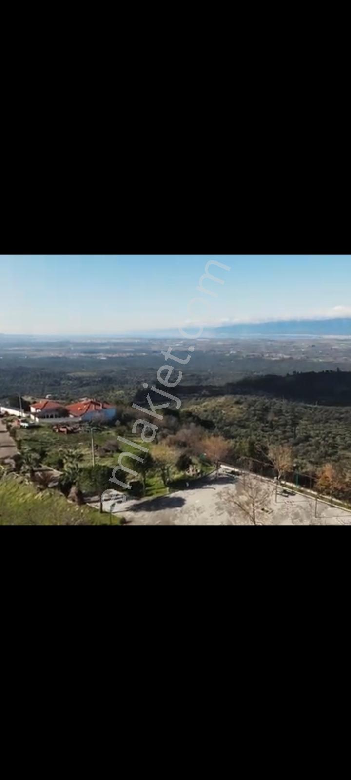 Burhaniye Dutluca Köyünde Full Deniz Manzaralı 669 M2 Arsa — fotoğraf 2