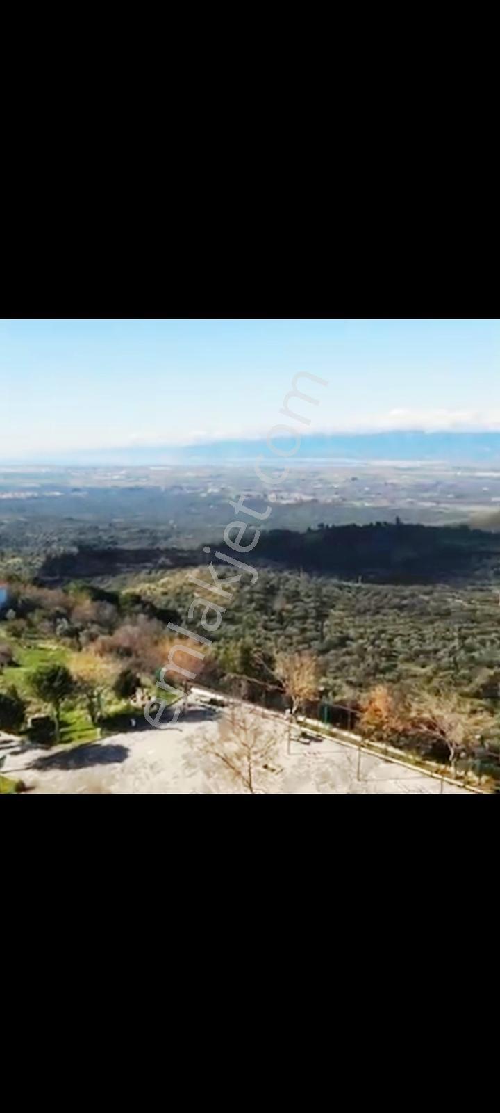 Burhaniye Dutluca Köyünde Full Deniz Manzaralı 669 M2 Arsa — fotoğraf 9
