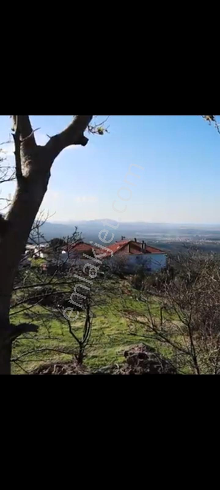 Burhaniye Dutluca Köyünde Full Deniz Manzaralı 669 M2 Arsa — fotoğraf 10